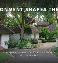 Environment as Cognitive Architecture