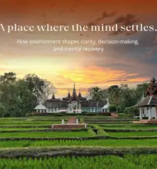 Why Leaders Need Cognitive Recovery